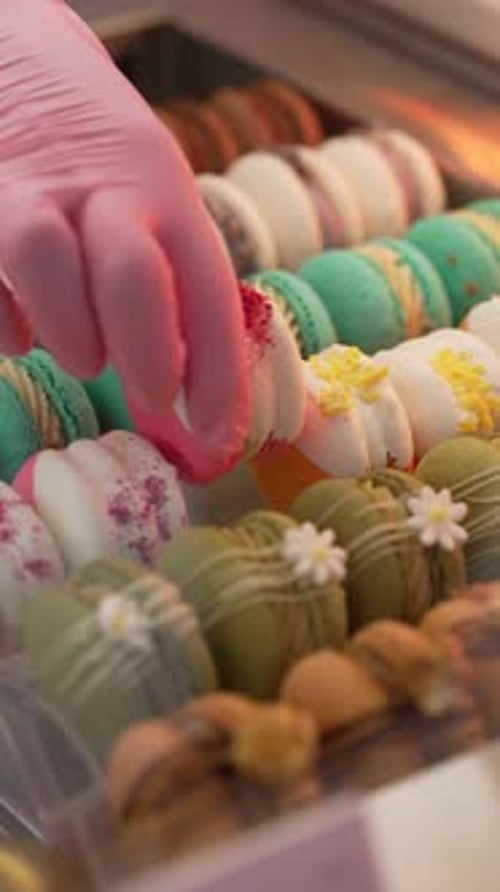 Colorful Macarons in a Pastry Display Case