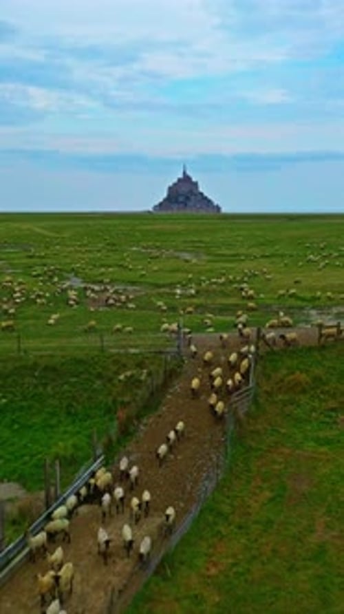 Aerial View of Amazing Mont Saint Michel Castle Fly Over Mont SaintMichel One of Europe's Most