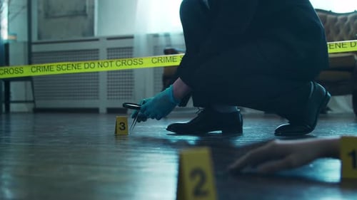 Crime Scene Investigation with Evidence Markers
