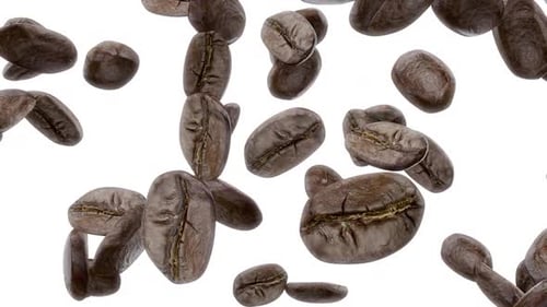 Realistic Falling Coffee Beans Seamless Loop Animation