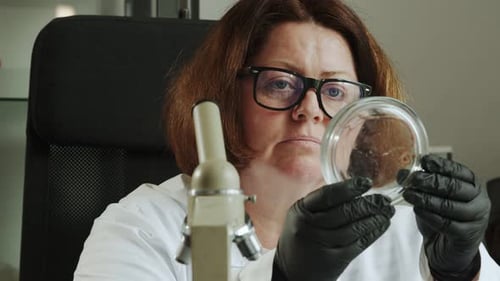 Scientist Examining Petri Dish in a Laboratory