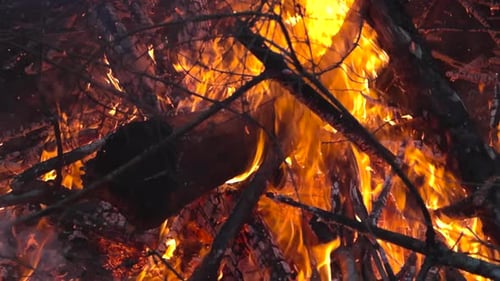 Gros plan d'un feu de joie ou d'un feu qui brûle dans une forêt pendant la journée avec de la fumée, des braises ralentissent.