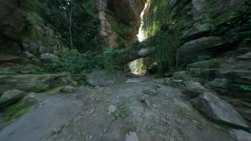 Immersive Walk Through Lush Green Canyon Path