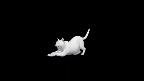 White Cat Stretch
