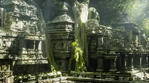 Ancient Cambodian Temples Engulfed By Lush Greenery and Sunlight