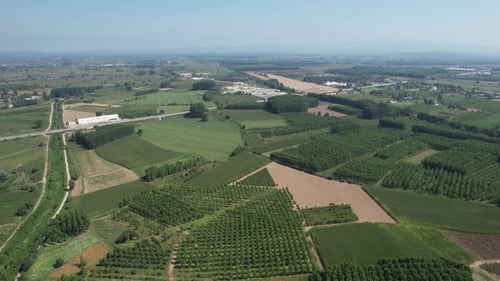 Aerial View of Rural Fields and Groves