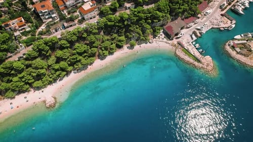 Aerial view of a beach with turquoise sea waters. Shoreline hugged by verdant foliage of pine trees