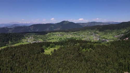 Mountain Village Among Pine Forests
