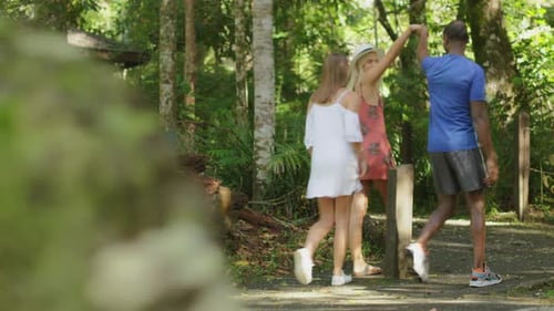 Three Young, Happy Diverse Friends Walk and Talk Through a Forest In