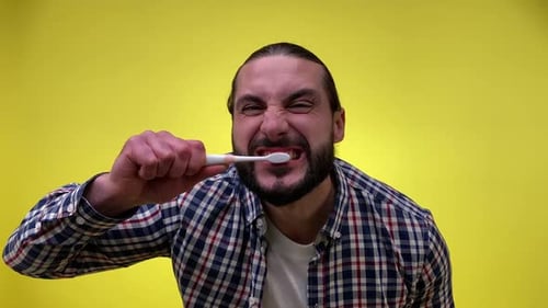 Mid Adult Bearded Man Brushing Teeth with Toothbrush Looking at Camera