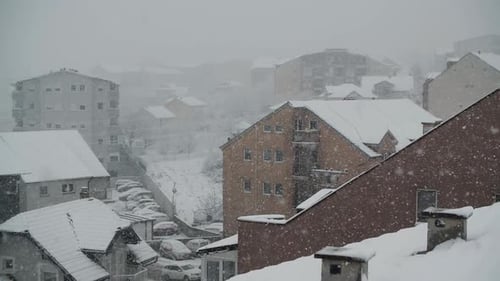 Snow Storm and Cold Weather Concept