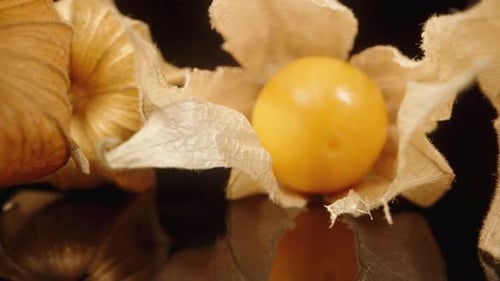 Eine Physalis-Pflanzenfrucht auf einem schwarz verspiegelten Hintergrund. Dolly Slider aus extremer Nahaufnahme
.