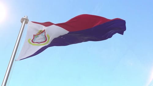 Seamlessly Looping Realistic Waving Flag Animation