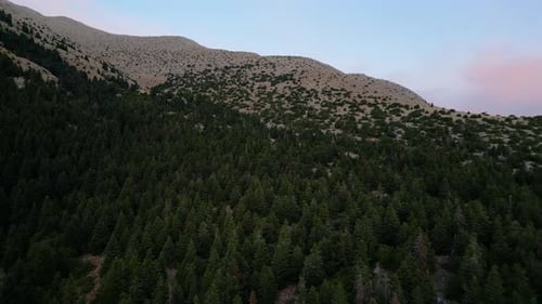 Campers and mountain and forest views in the morning