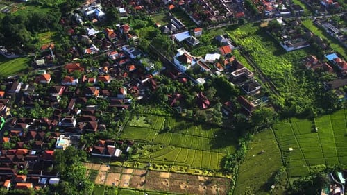 Aerial View of the Vibrant Canggu Landscape in Bali with Residential Areas