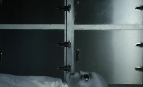 Area 51 Alien Autopsy - side profile of visitor on gurney in morgue