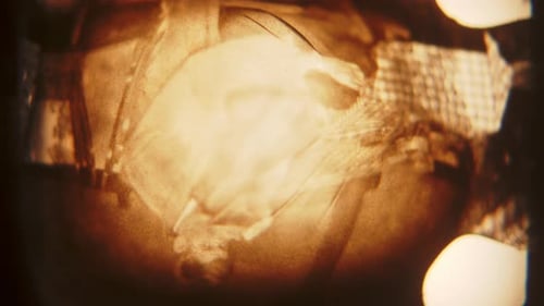 Abstract Blobs Expanding and Contracting