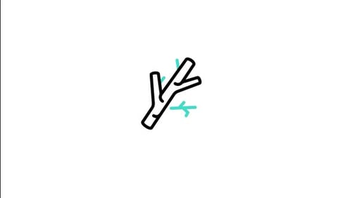 Twig Animated Icon