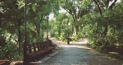 Nature Trail Winding Through Wooded Park with Benches and Lamp Posts