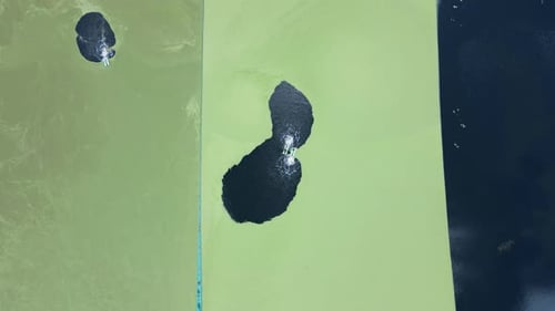 Revealing high view of a wastewater water treatment pond with an aerating surface pump. High view