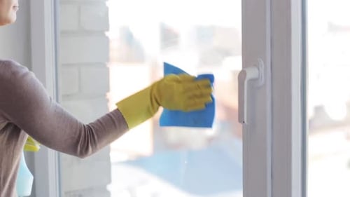 Woman Cleaning Window with Spray and Cloth