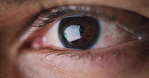 Leitura, reflexão e olhos da pessoa no computador para pesquisa, proposta on-line