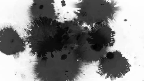 Black Ink Drops Spreading on White Background