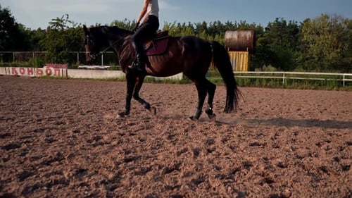 Elegant Horse and Rider Trotting in Paddock