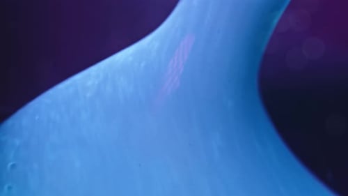 Swirling blue liquid merging with vibrant purple in a close-up abstract shot