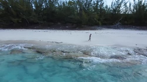 aerial view of a woman walking along a beach