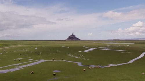 Aerial view of historic abbey, church, sheep on island, France.
