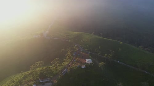 Kemuning Tea field