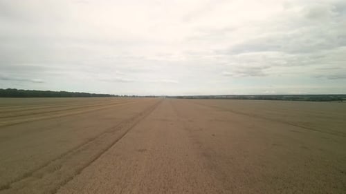 Wheat field aerial view in Ukraine