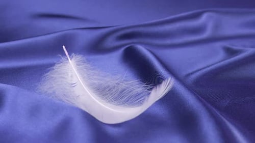 White Feather Gently Landing on Blue Silk Fabric