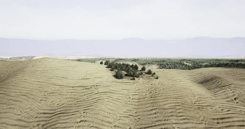 Expansive Desert Landscape Shows Gentle Rolling Hills and Sparse Vegetation
