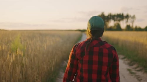 A Young Agronomist Walks Near a Wheat Field and Inspects the Harvest