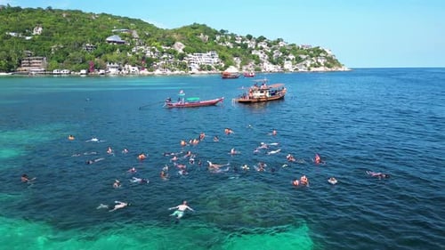 Aerial view of people snorkelling in shark bay on Ko Tao island, Thailand.