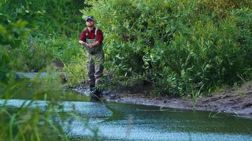 Fly fishing, windy weather. Angler fishing on the bushy coast with a lot of trees