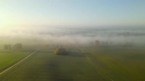 Low Clouds cover Green Pasture Meadows and fields during magnificent Sunrise, Drone Aerial