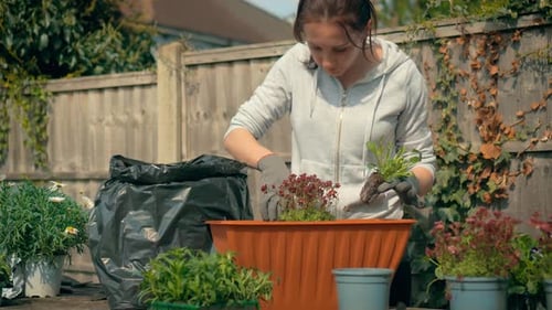 Woman Planting Flowers in Suburban Backyard Garden
