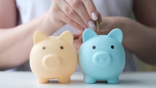 Woman Putting Coins Into Two Piggy Banks in Turn to Diversify Portfolio