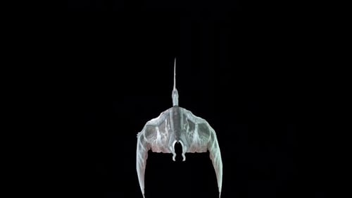 Prehistoric Pterosaur Flying with Flapping Wings 3D Animation