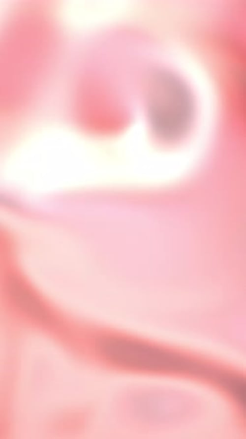 Seamless Abstract Fluid Pink Liquid Background Animation