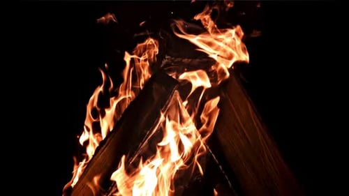 Firewood Burns with Bright Flames