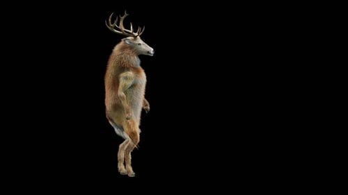 Animated 3D Deer Dancing on Transparent Background