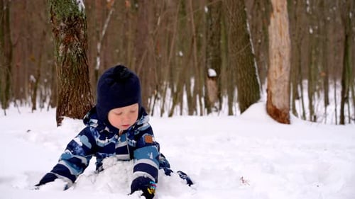 A joyful little boy having fun playing in the snow in the winter forest.