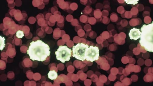 Vírus sob a visão microscópica para a educação