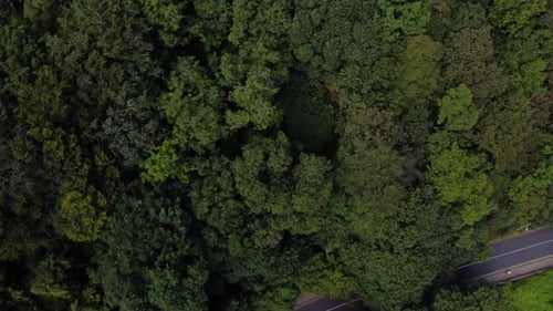 Luftaufnahme von oben nach unten eines bewaldeten Hügels und einer durchschneidenden Straße