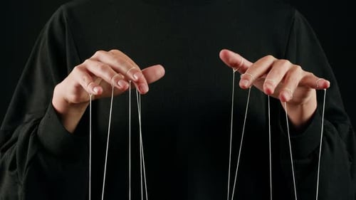 The Puppeteer Controls the Puppets in the Theater Managing People at Work in Politics and Government