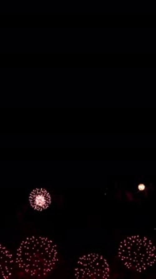 Awesome Real Huge Firework on Deep Black Background Sky on Fireworks Festival Colorful Fireworks on